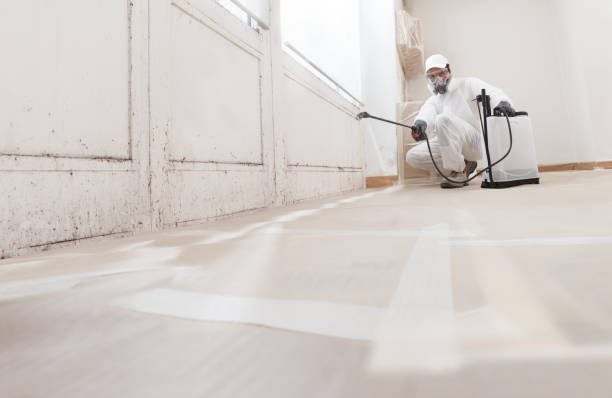 24/7 Emergency Mold Cleanup experts in Fort Worth, TX